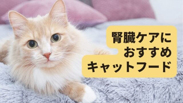 安全でおすすめ！オーガニック認証ありのキャットフード7選を紹介 | キャットフードの達人